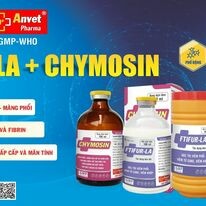 Dược Phẩm Anvet 4