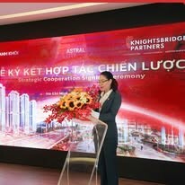 ĐẦU TƯ DANH KHÔI HOLDINGS 11