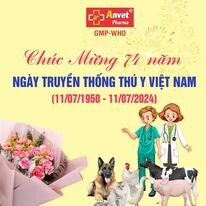 Dược Phẩm Anvet 8