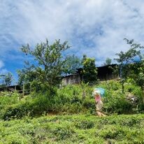 Đầu Tư Sài Gòn Thăng Long 6