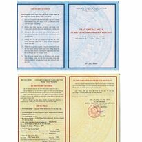 Công Ty TNHH Kiểm Toán Tư Vấn Độc Lập 6