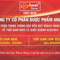 Dược Phẩm Anvet 10