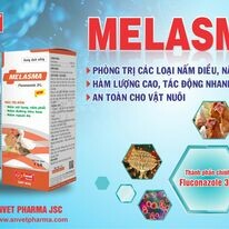 Dược Phẩm Anvet 11