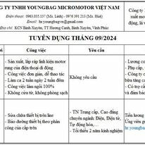 Youngbag Micromotor Việt Nam 9