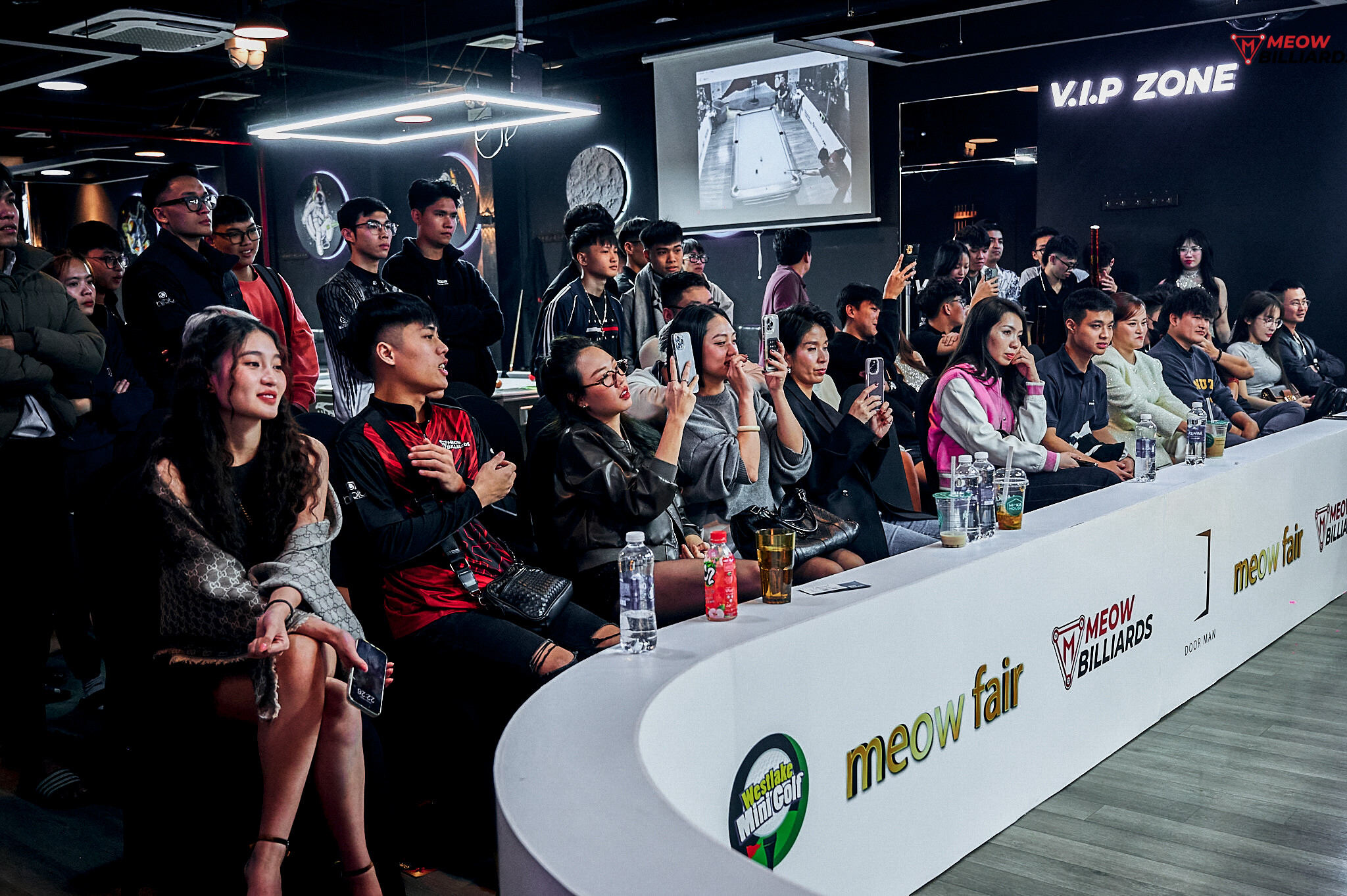 Thương Mại & Dịch Vụ Meowtopia 1