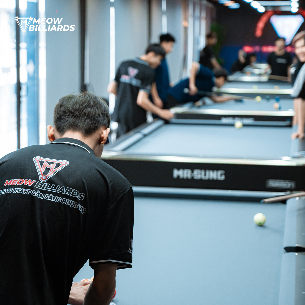 Thương Mại & Dịch Vụ Meowtopia 3