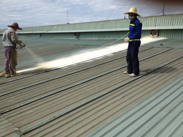 Phương Vy Thành Công 10