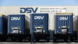 DSV 1