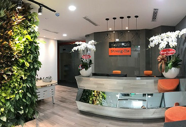 SIMPSON STRONG-TIE VIETNAM 1