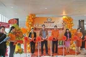 Dừa sáp Cầu Kè - Vicosap 1