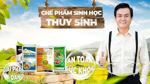 Thủy Sính 1