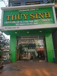 Thủy Sính 3