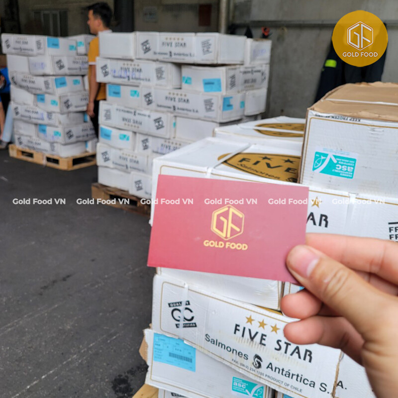 Đầu Tư Và Thương Mại Quốc Tế Gold Services 2