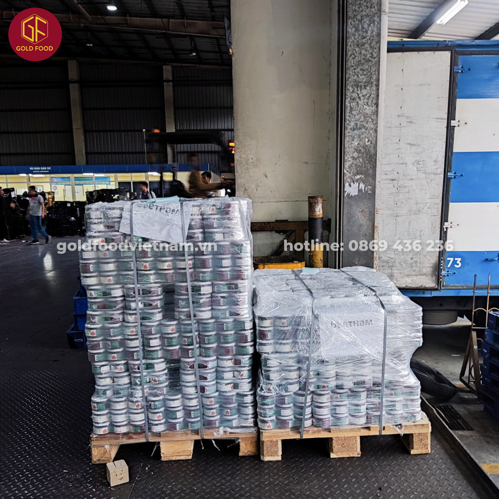 Đầu Tư Và Thương Mại Quốc Tế Gold Services 3