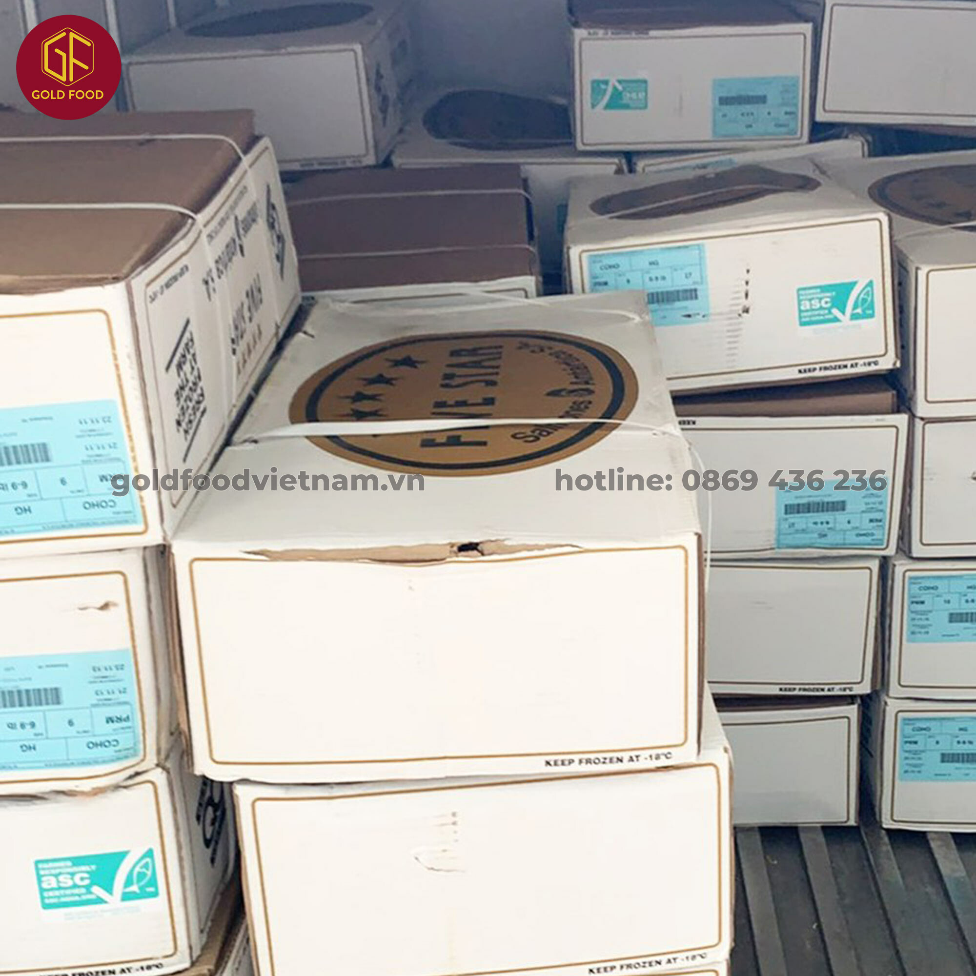 Đầu Tư Và Thương Mại Quốc Tế Gold Services 5