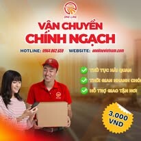 THƯƠNG MẠI VÀ DỊCH VỤ ONE LINE VIỆT NAM 9