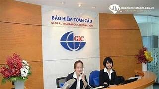 Bảo hiểm Toàn Cầu 1