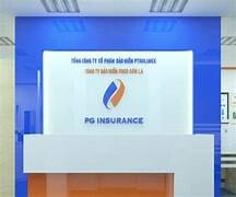 Bảo hiểm Pjico 1