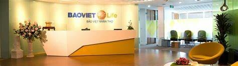 Bảo Việt Nhân Thọ 10