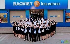 Bảo Việt Nhân Thọ 6