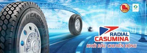 Công nghiệp Cao su Miền Nam 8