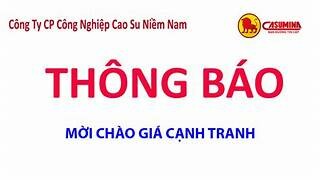 Công nghiệp Cao su Miền Nam 7