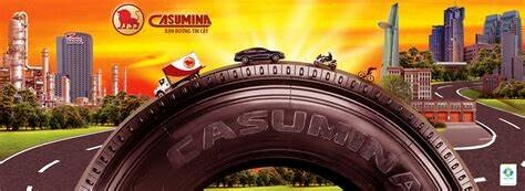 Công nghiệp Cao su Miền Nam 6