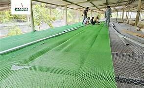 CÔNG TY CỔ PHẦN GREENFEED VIỆT NAM 1