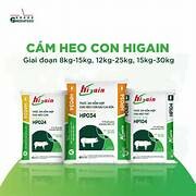 CÔNG TY CỔ PHẦN GREENFEED VIỆT NAM 7