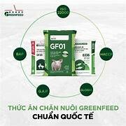 CÔNG TY CỔ PHẦN GREENFEED VIỆT NAM 3