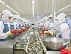 TẬP ĐOÀN THỦY SẢN MINH PHÚ 9