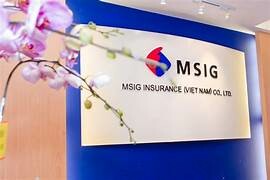 Bảo hiểm MSIG 4