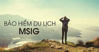 Bảo hiểm MSIG 3