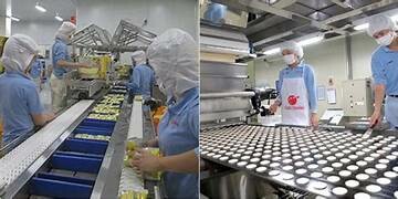 THỰC PHẨM ORION VINA 5