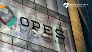 Công ty CP Bảo hiểm OPES 10