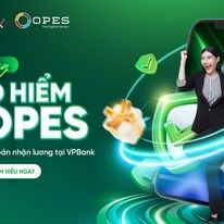 Công ty CP Bảo hiểm OPES 1