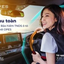 Công ty CP Bảo hiểm OPES 8
