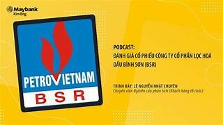 Lọc hóa dầu Bình Sơn (BSR) 8