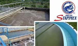 THỦY SẢN SÓC TRĂNG STAPIMEX 10