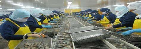 THỦY SẢN SÓC TRĂNG STAPIMEX 9