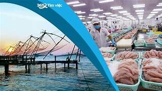 THỦY SẢN SÓC TRĂNG STAPIMEX 6