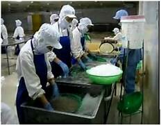 THỦY SẢN SÓC TRĂNG STAPIMEX 4