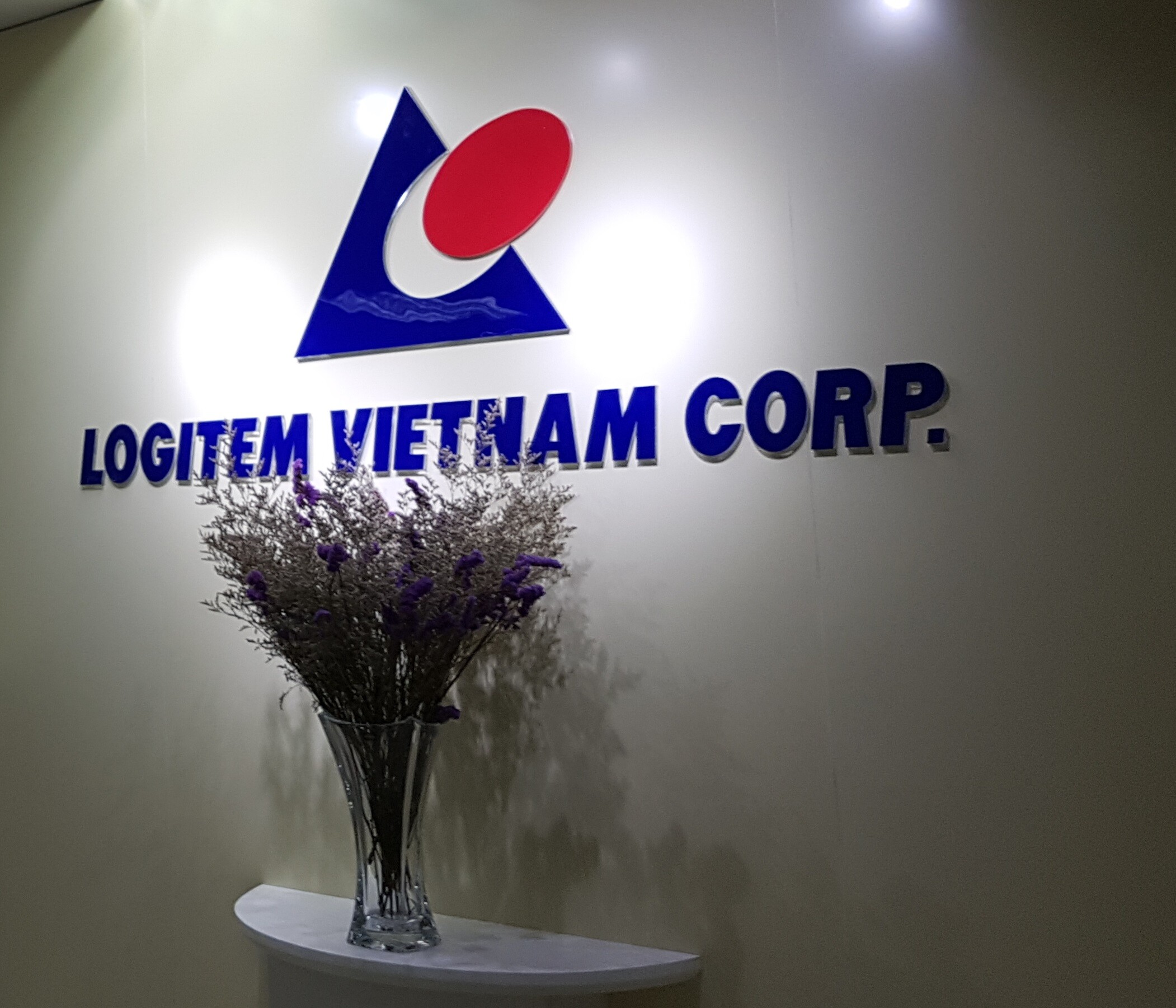 Logitem Việt Nam 2