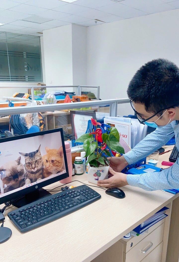 Đầu tư và Công Nghệ HVC 2