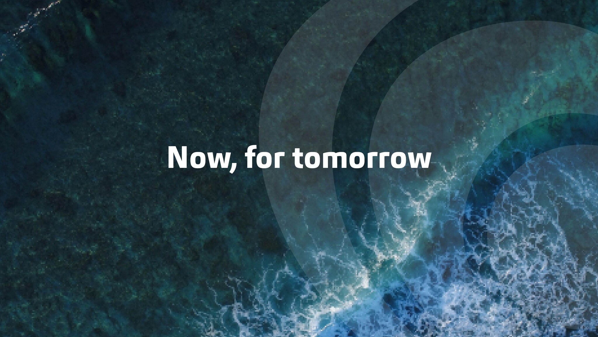 Kiểm toán và tư vấn AC 9