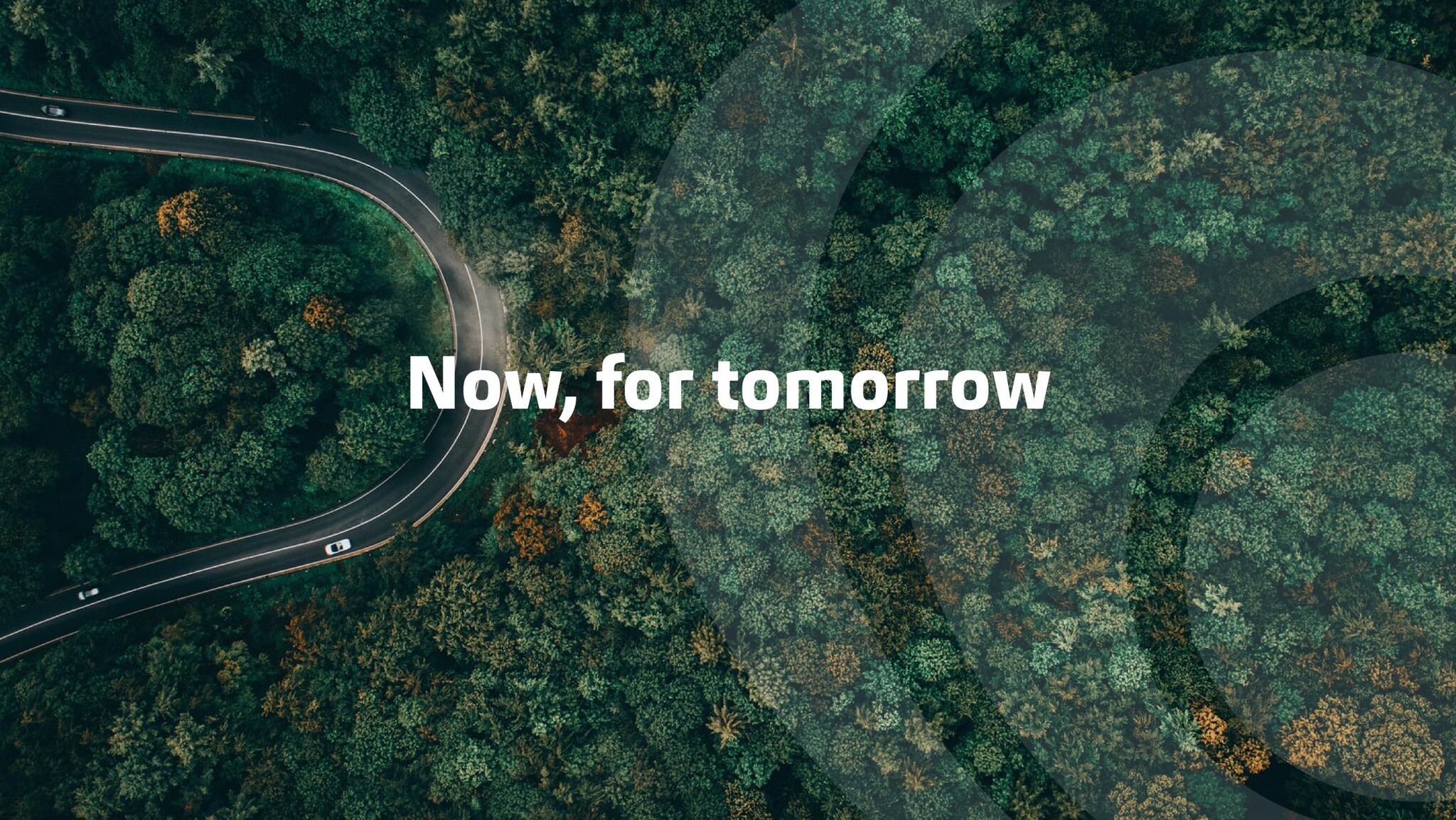 Kiểm toán và tư vấn AC 5