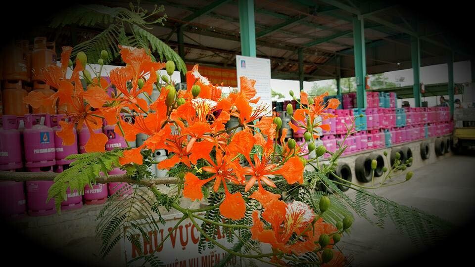 Gas Phú Hoàng An 4