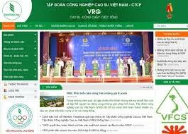 Cao Su Việt Phú Thịnh 6