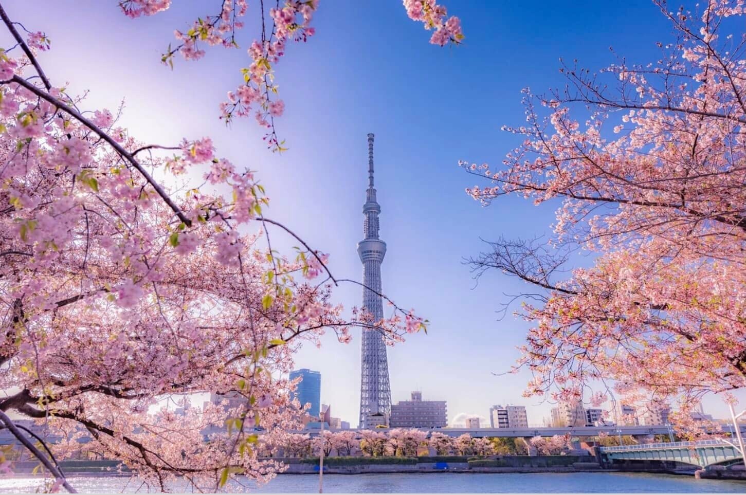 Phát Triển Nhân Lực Tocontap Sài Gòn 2