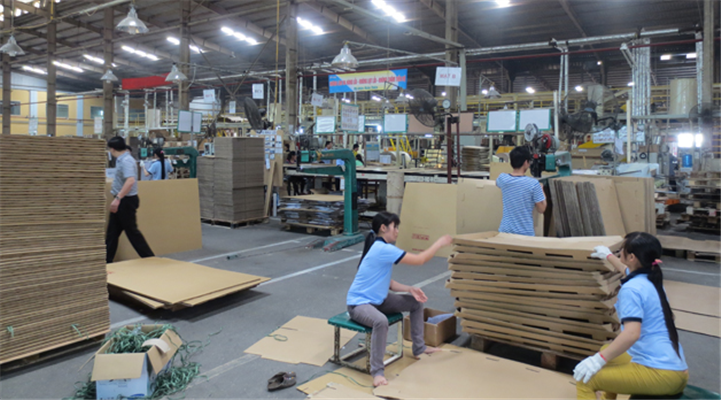 Bao bì Việt Hưng 8